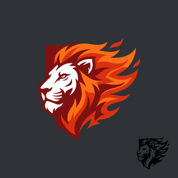 Fierce lion head logo with orange fire mane.