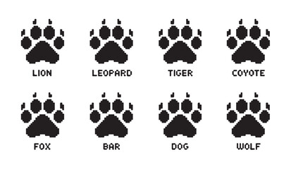 Animal paw print vector lion leopard tiger coyote dog wolf fox bar illustration graphic set. © Md Rony