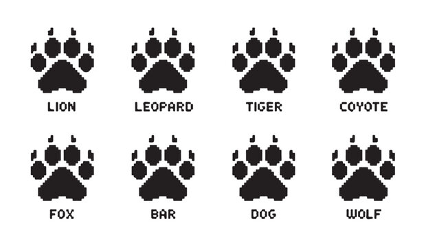 Animal paw print vector lion leopard tiger coyote dog wolf fox bar illustration graphic set.