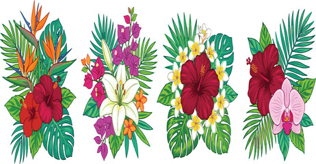 Tropical floral bouquets vector set featuring exotic flowers bird of paradise lily hibiscus orchid frangipani and monstera palm leaves. © Mijanur