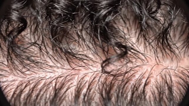 Close-up of woman's curly hair blowing in wind. Natural brunette locks flowing with soft breeze movement.