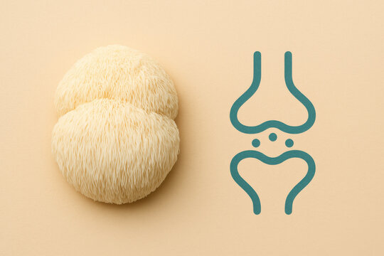 Lion mane mushroom beside teal outline neurotransmitter synapse icon on soft beige background, flat lay top view minimal health concept, clean warm pastel surface