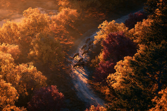 A herd of majestic deer walking along a path in a vibrant autumn forest bathed in golden morning light.