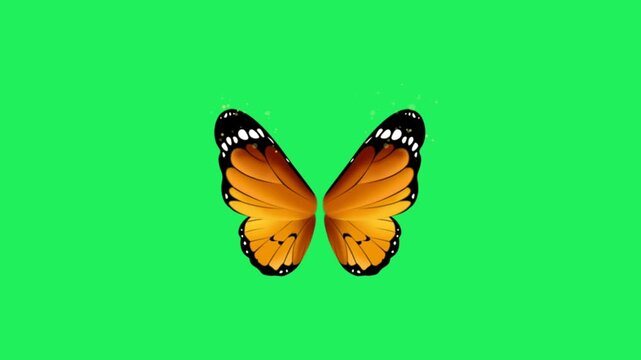 Animation orange fantasy butterfly wings on green background.