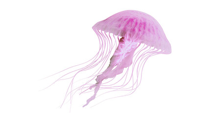 Translucent pink jellyfish with long flowing tentacles, isolated on transparent background © iPNG