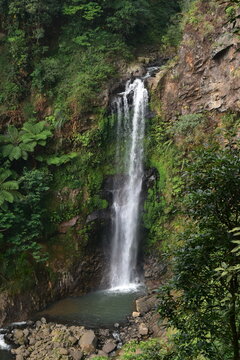 The beauty and romance of the Muncar Waterfall and the river in Petungkriyono, Pekalongan, Indonesia. The atmosphere at this waterfall is wonderfully cool.
