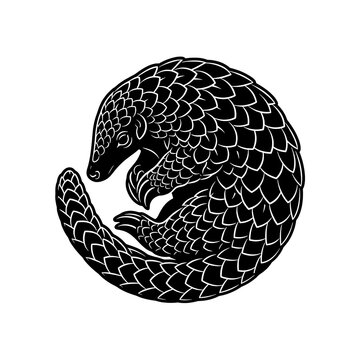 Black and white pangolin illustration isolated on white. Exotic endangered mammal vector art for wildlife conservation design.