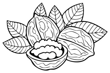 Fototapeta premium Black and white illustration of walnuts with leaves, botanical and natural elements
