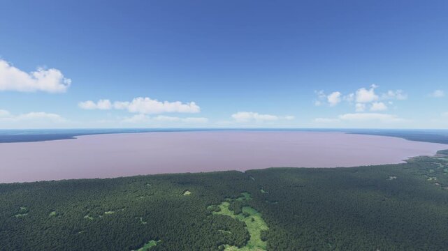 Circular aerial drone view at Maurepas Swamp Wildlife Management Area in Laplace. Louisiana. United States