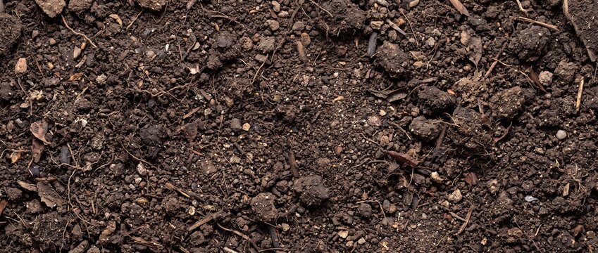 Natural Soil Texture Background