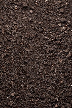 Natural Soil Texture Background