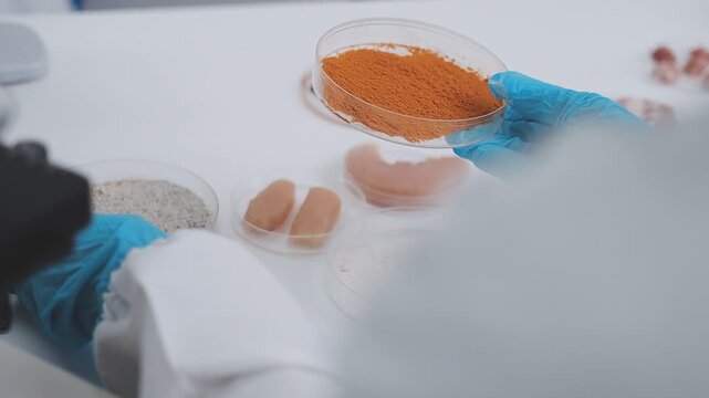 Lab technician analyzing food additives in a sterile environment, food safety, scientific food innovation