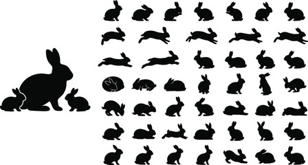 Fototapeta premium Black Rabbit Silhouette Collection with Family Group and Multiple Natural Poses
