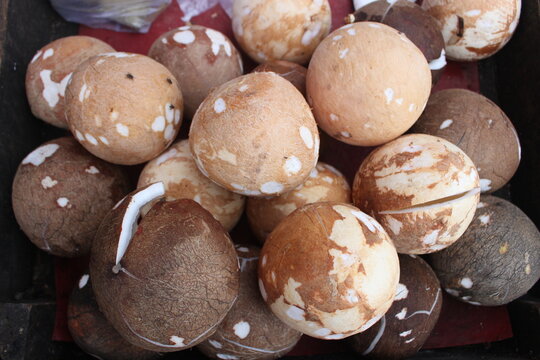 coconut isolate on a table