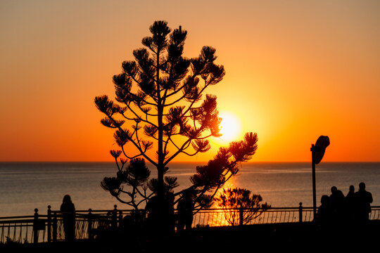 Sunset Over Sea with Promenade Viewers