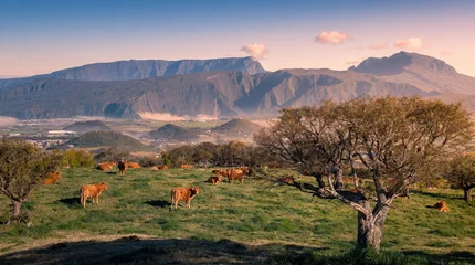 Vue sur le Piton des Neiges depuis la plaine des Cafres, La Réunion. © Prod. Numérik