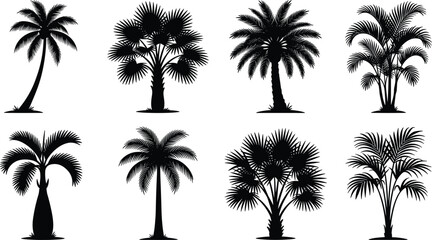 Fototapeta premium set of palms