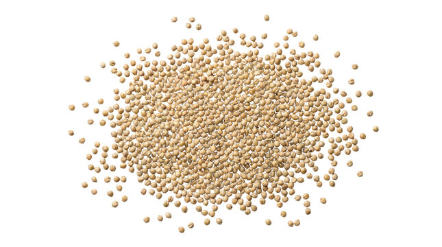 Organic white quinoa seeds in a heap, raw superfood grains for healthy cooking, nutritious gluten-free quinoa cereal plant seeds isolated PNG with Transparent Background