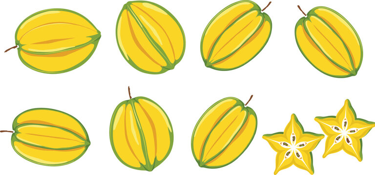 Fresh Tropical Star Fruit Vector Illustration Set Featuring Whole Ripe Carambola and Star Shaped Slices for Summer Food Menu and Beverage Packaging Designs