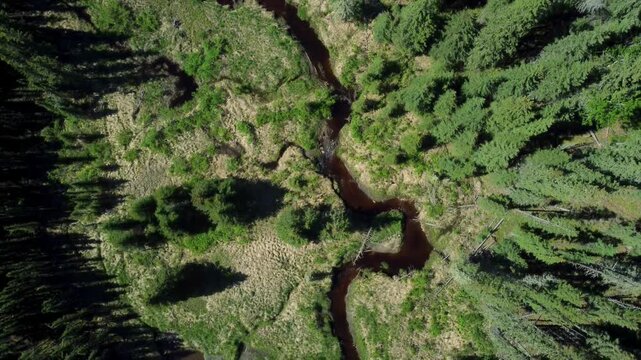 Scenic aerial shot of a forest creek in the Alberta wilderness