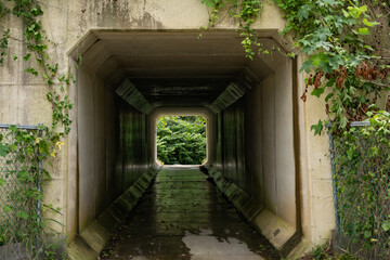 Naklejka premium Exit at the End of the Tunnel and the View Beyond the Dark Tunnel