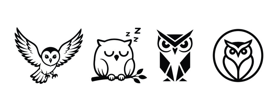 Collection of four stylized owl silhouettes in different poses vector