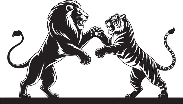 Lion and tiger fighting in a dynamic pose