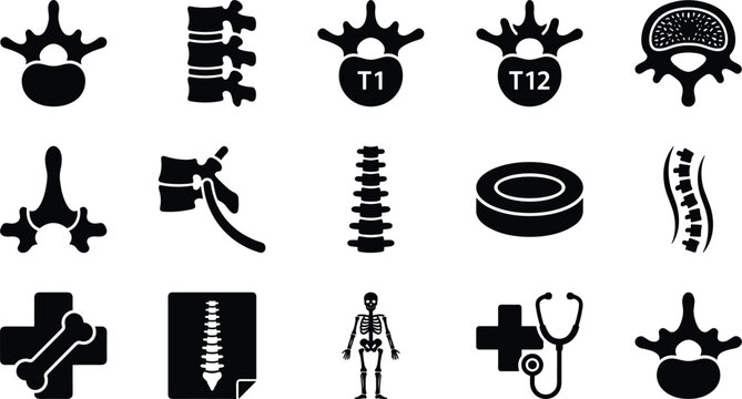Set of spine and vertebrae icons, including human skeleton, spinal column, intervertebral disc, and medical diagnostic symbols