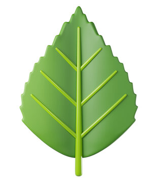 3D leaf birch in green color, isolated on background. Botanical leaves for eco design, spring, summer, autumn, nature, organic, gardening, stickers, banners. 3d render
