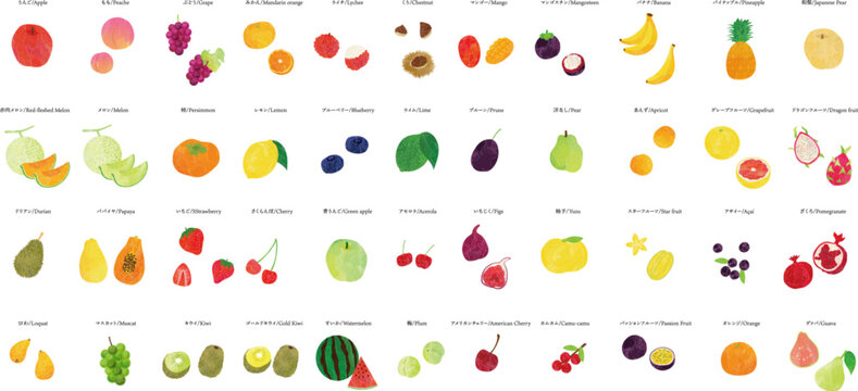 Watercolor Fruit Illustration Set