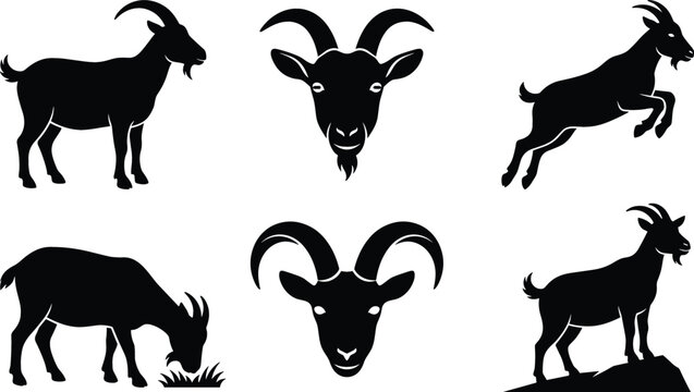 Goat and Ram Silhouette Collection Featuring Horned Heads and Full Body Poses for Livestock Farming Agriculture Branding and Butchery Logo Designs