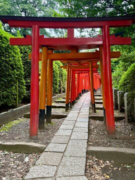 Vermilion torii gates at Nezu Shrine, Tokyo, Japan