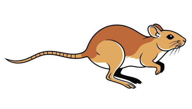 Side view illustration of a wild brown field mouse running swiftly with a long tail on a clean white background.