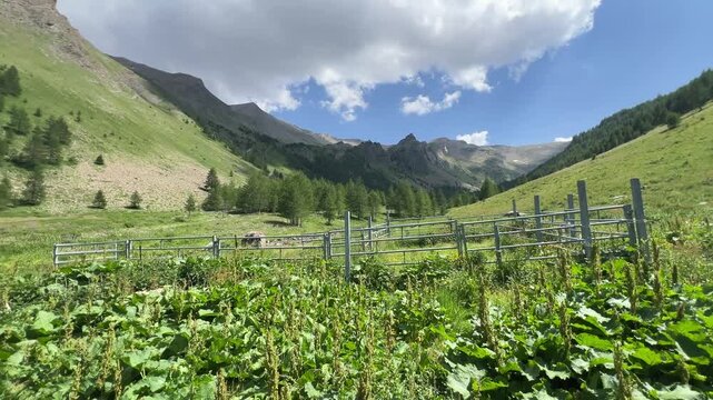 Frankreich im Sommer