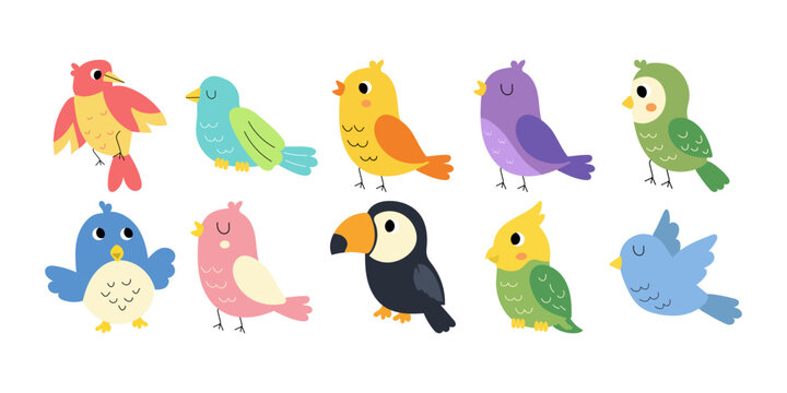 Cute Bird Character