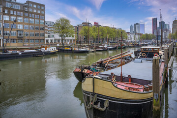 Fototapeta premium Rotterdam is major port city in the dutch province of south holland.