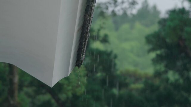 屋根から流れ落ちる雨