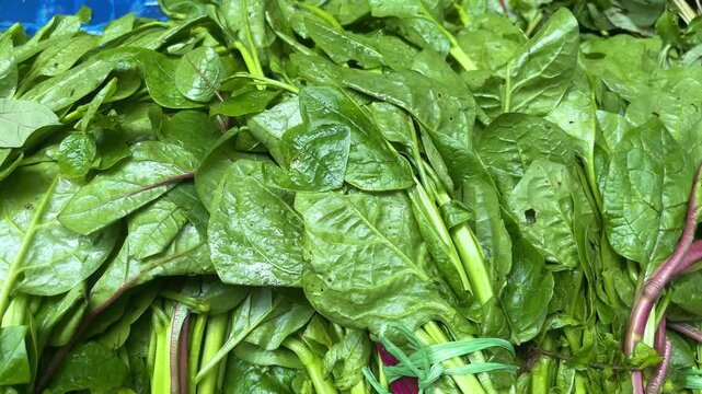 Close up view of fresh Malabar spinach being sold at a street market in Dhaka, Bangladesh. Green leafy vegetable display showcasing local produce and traditional market life.