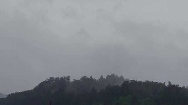 梅雨と雨