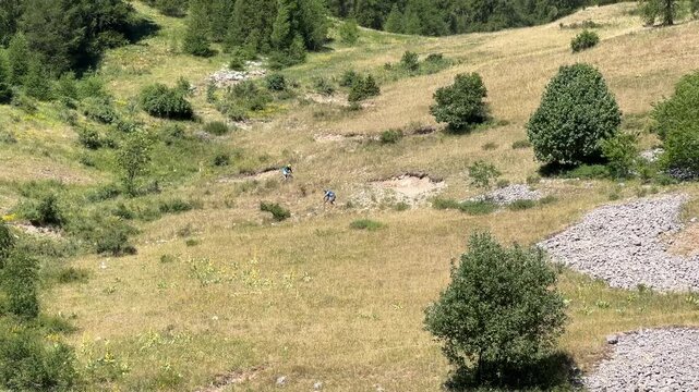 Frankreich im Sommer