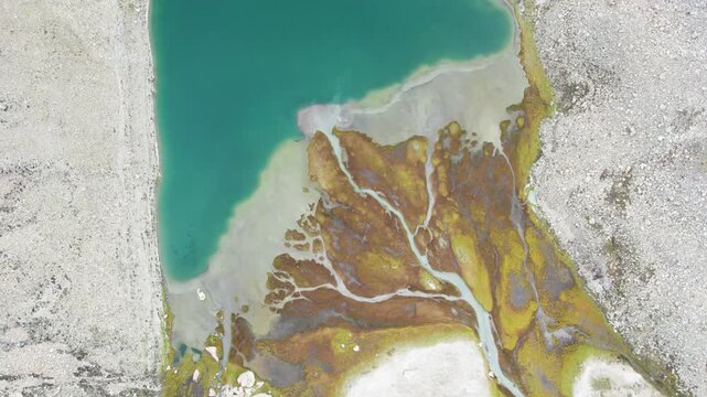 Drone view of melted snow flows towards the green lake like veins, top view of Dingjie Zongcuo Lake in Dingjie, Shigatse, Tibet, China. Travel concept 4k real time footage aerial view.