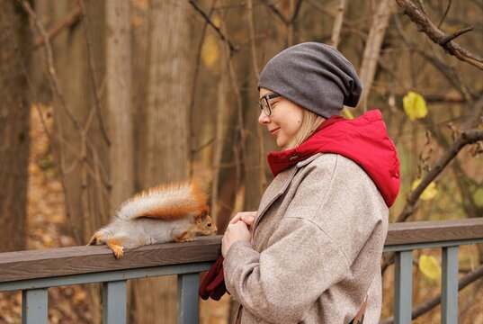 Curious squirrel interacts with a woman in a tranquil autumn park setting