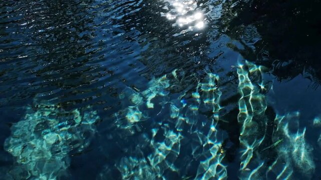 Sunlight glistens on the surface of a crystal clear swimming pool