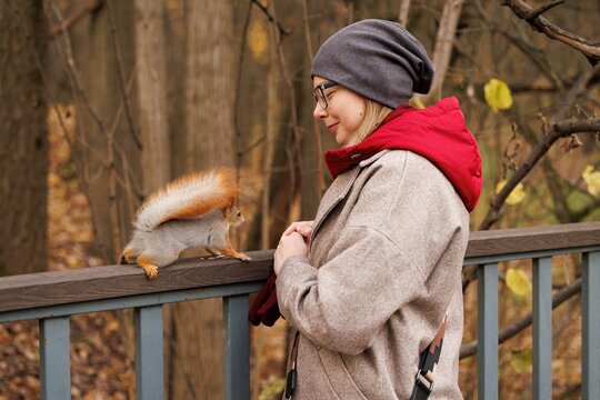 Joyful encounter with a curious squirrel in a serene forest setting during autumn
