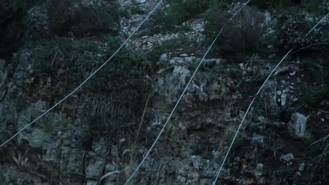 Electrical power cables laying on the ground