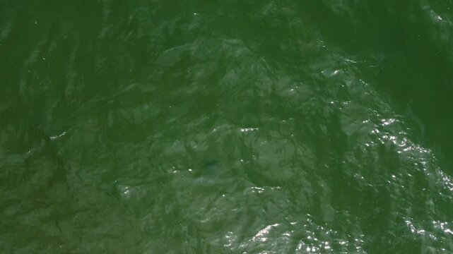 Green coastal waters ripple gently with sunlight reflecting off subtle waves near Mumbles, Wales on a calm day.