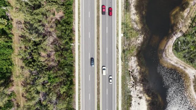 Straight highway carries steady traffic between dense forest and retention pond near Bradenton, Florida, USA, showing cars, roadside vegetation under bright sunshine. Aerial drone top down flyover