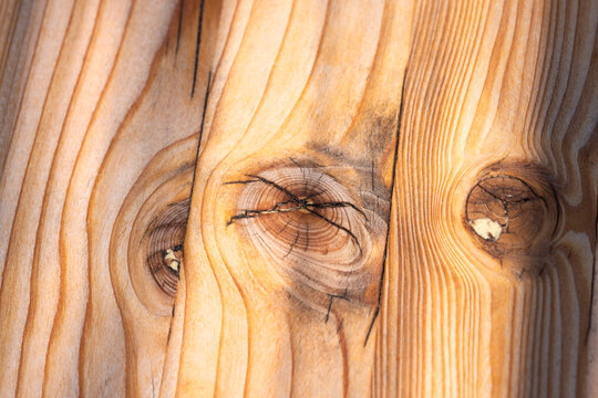 Texture di legno con nodi