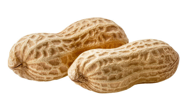 Two textured peanut pods with intricate patterns, isolated on transparent background