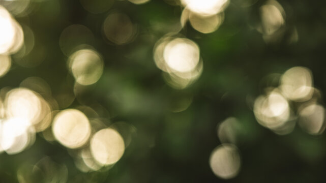 Green foliage background creating warm, glowing bokeh lights, abstract blur and soft focus effect, representing nature's vibrant energy and tranquil atmosphere in a defocused setting